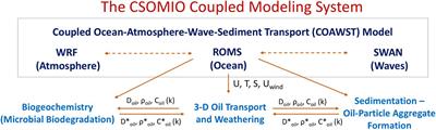 Development of the CSOMIO Coupled Ocean-Oil-Sediment- Biology Model